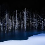 Hiroshi Tanita, Japan, Shortlist, Open, Nature, 2017 Sony World Photography Awards