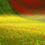 Francesco Russo, Italy, Shortlist, Open, Nature, 2017 Sony World Photography Awards