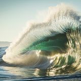 Gordon Becker, Australia, Commended, Open, Nature, 2017 Sony World Photography Awards