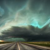 Maximilian Conrad, Germany, Shortlist, Open, Nature, 2017 Sony World Photography Awards