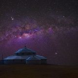 Albert Tan Chee Hiang Tan, Singapore, Commended, Open, Nature, 2017 Sony World Photography Awards