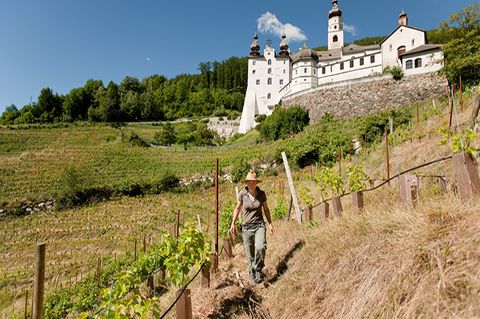 Neuer Wein von Marienberg