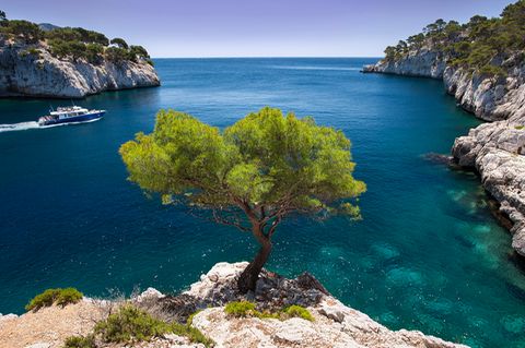 Cassis
