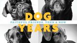 Dog Years: Faithful Friends, Then & Now by Amanda Jones (Chronicle Books).