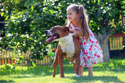 Junges Mädchen und Stafford Terrier