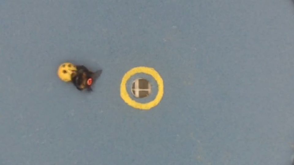 Hummel