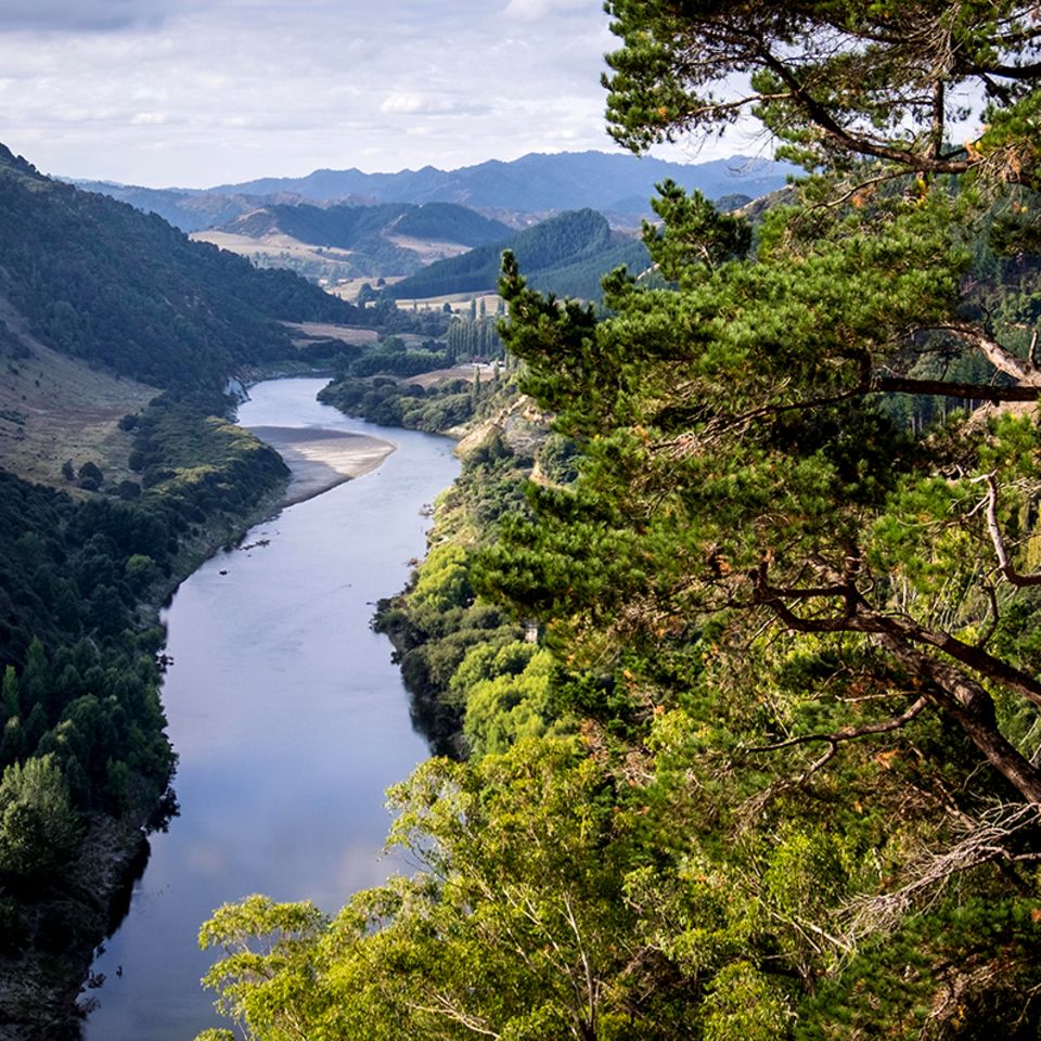 Whanganui