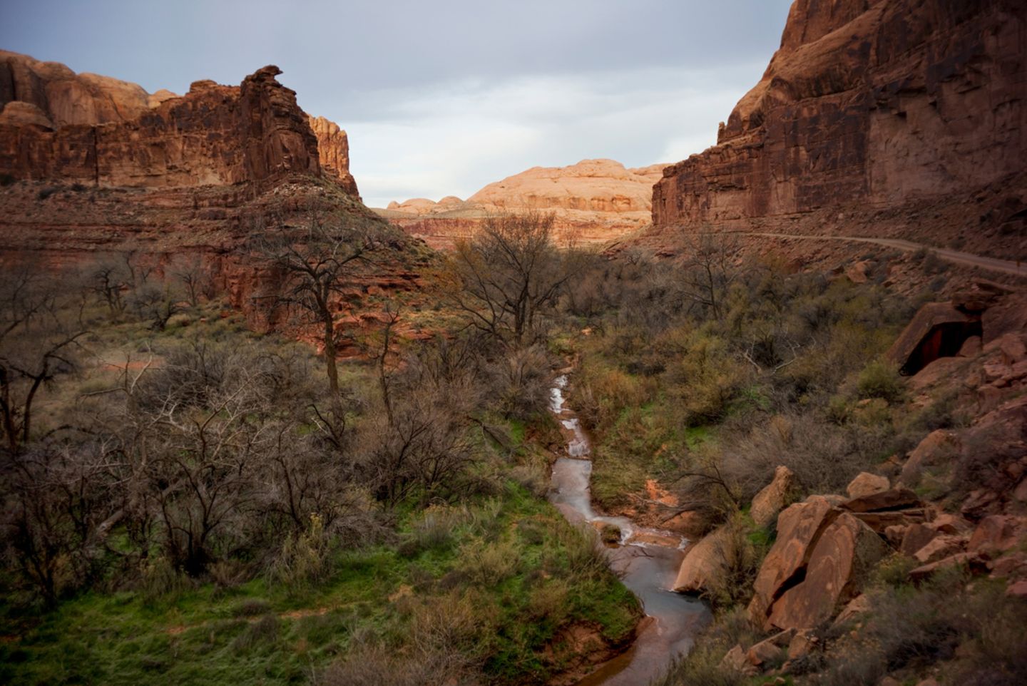 Colorado River