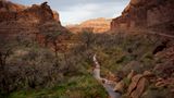 Colorado River