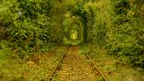 Tunnel of Love