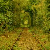 Tunnel of Love