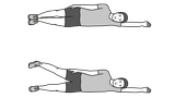 Beinstrecker Beinstrecker