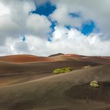 Lanzarote, Timanfaya