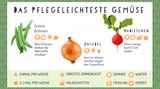 Tipps für den grünen Balkon