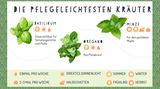 Tipps für den grünen Balkon