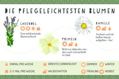 Tipps für den grünen Balkon