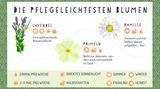 Tipps für den grünen Balkon
