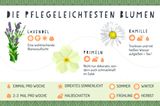 Tipps für den grünen Balkon