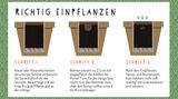 Tipps für den grünen Balkon