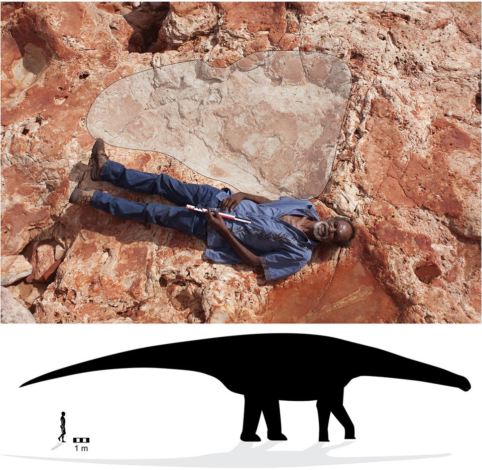 Großenverhältniss, Sauropod-Spur - Mensch