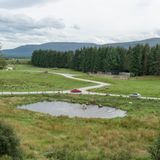 Sheng Wen Lo - White Bear