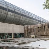 Sheng Wen Lo - White Bear