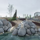 Sheng Wen Lo - White Bear