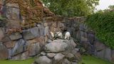 Sheng Wen Lo - White Bear