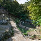 Sheng Wen Lo - White Bear