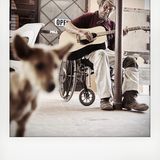 Fotoschule Porträt von Hauke Dressler