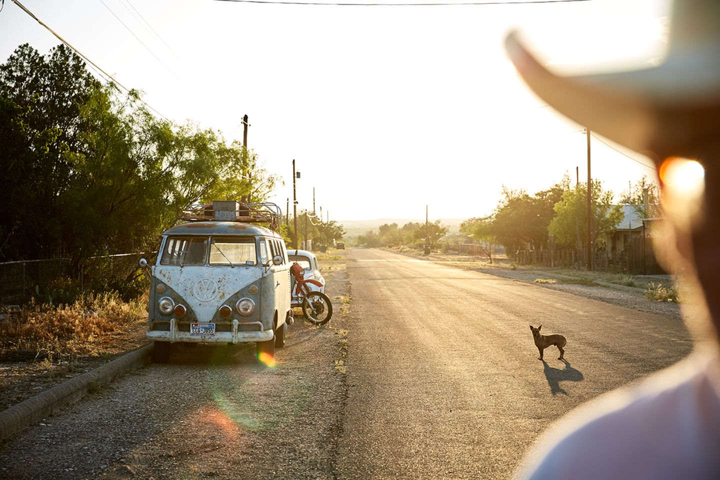 Fotoschule Porträt von Hauke Dressler