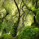 Naturschutzgebiet in Hemsbach