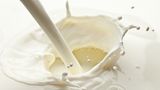 Milch