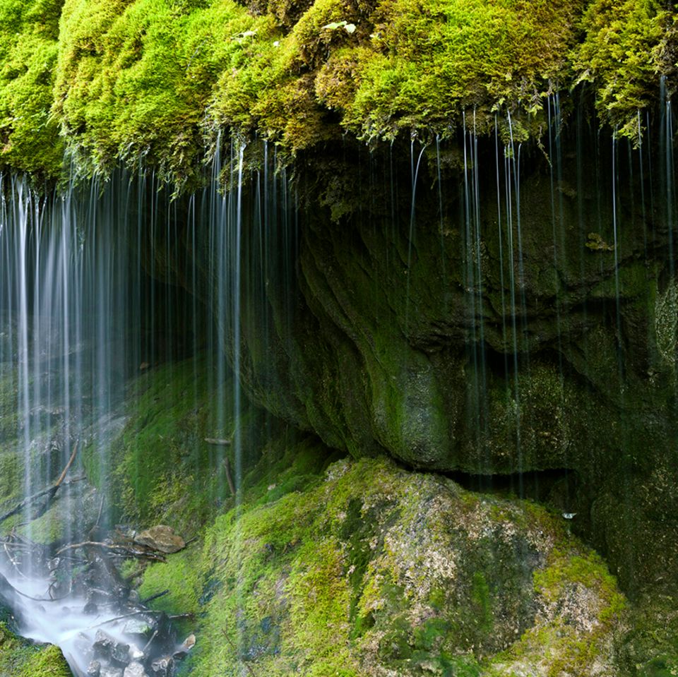 Wutachschlucht