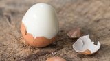 Eier