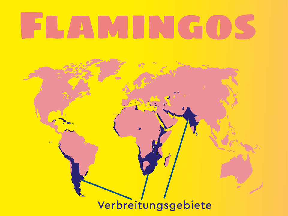 Flamingos weltweit - Verbreitungskarte
