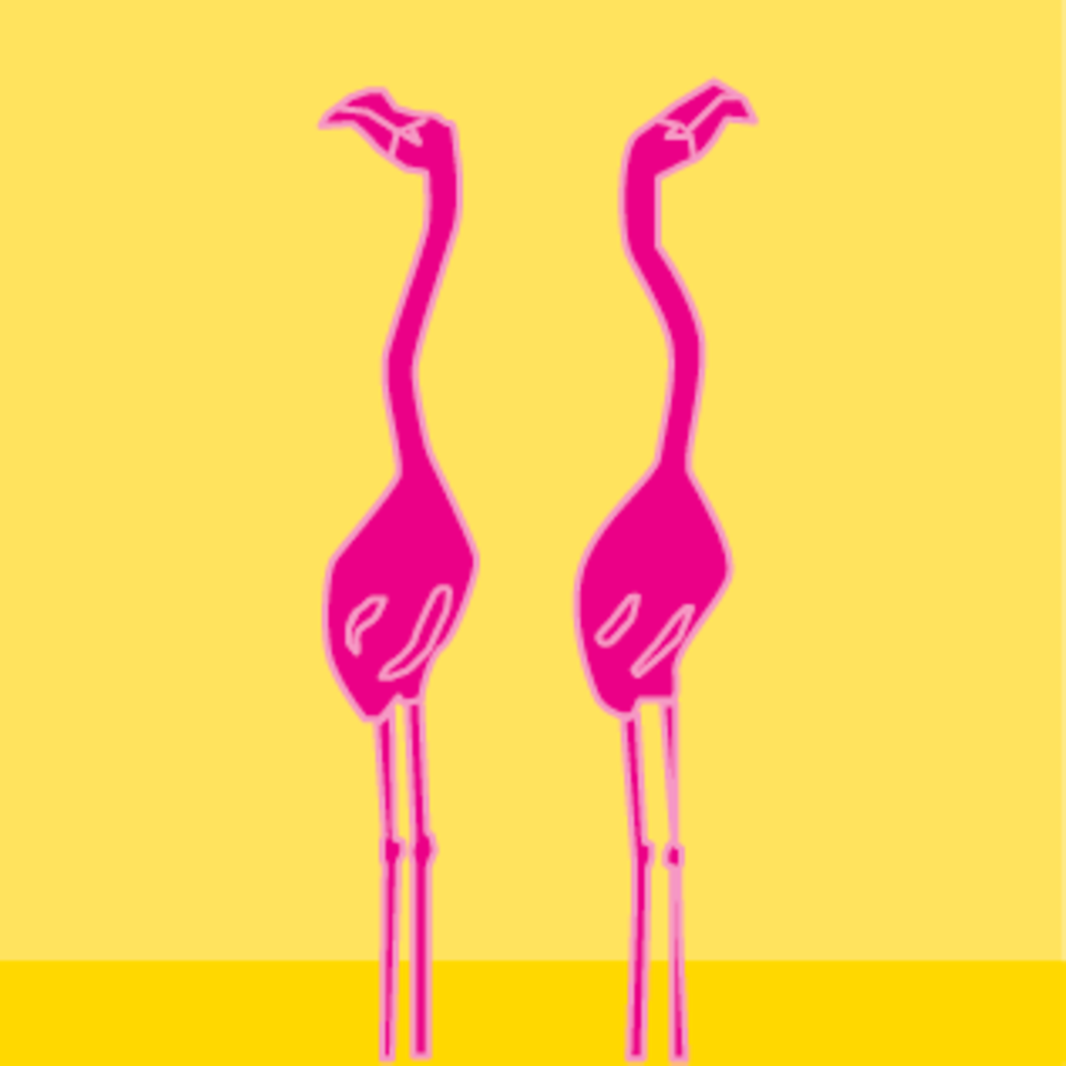 Flamingo Kopfflattern