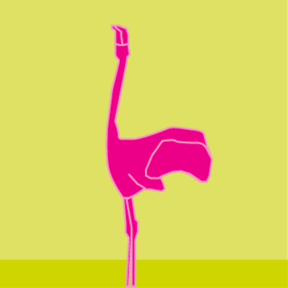 Flamingo Wing Salute