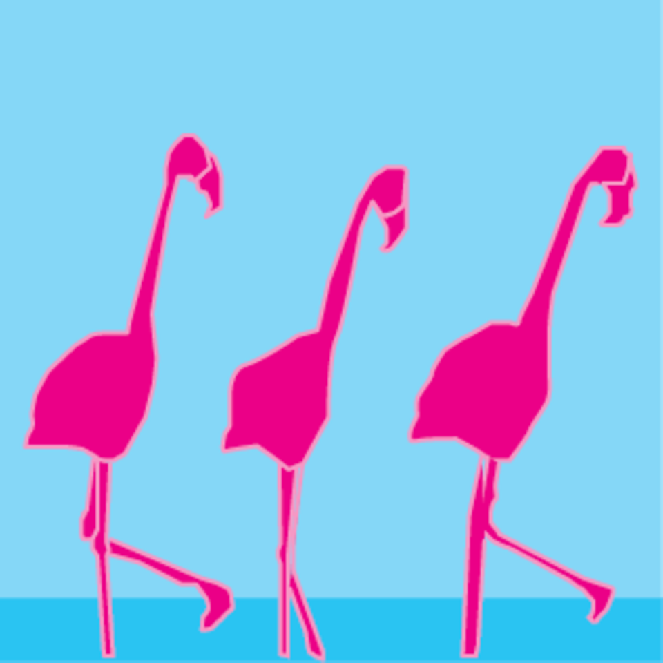 Flamingos beim Marching Flamingos beim Marching