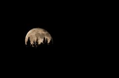Vollmond