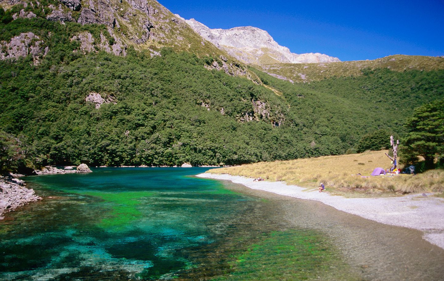 Blue Lake, Neuseeland
