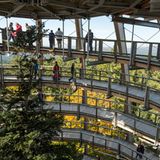 Baumwipfelpfad, Nationalpark Bayerischer Wald, Neuschönau