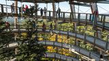Baumwipfelpfad, Nationalpark Bayerischer Wald, Neuschönau