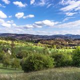 Berghauser Matten, Ebringen, Baden-Württemberg