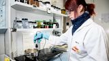Laborarbeiterin in der Bonbonproduktion