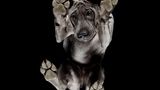 Underlook Project
