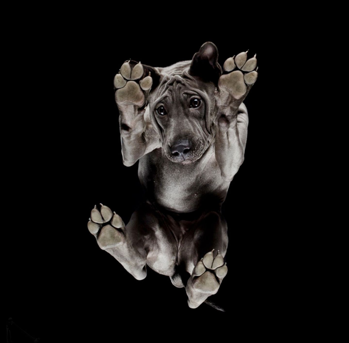 Underlook Project