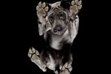 Underlook Project