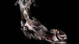 Underlook Project