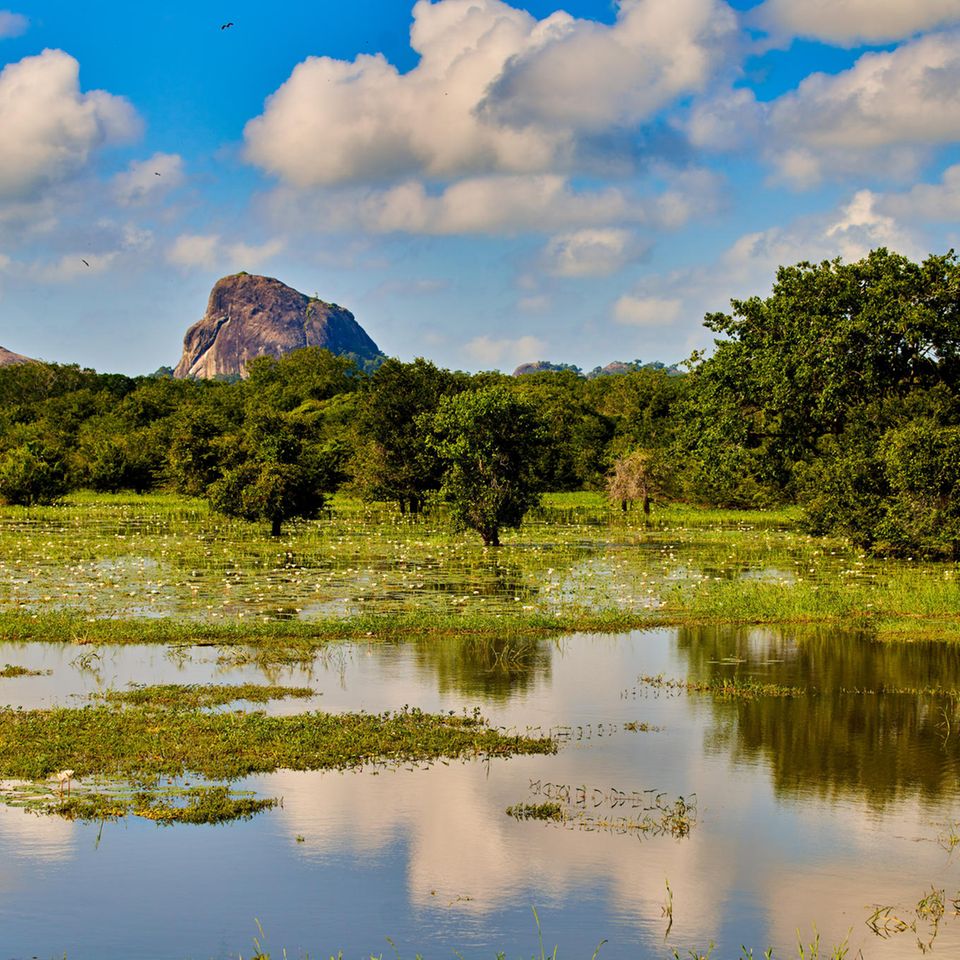 Yala National Park
